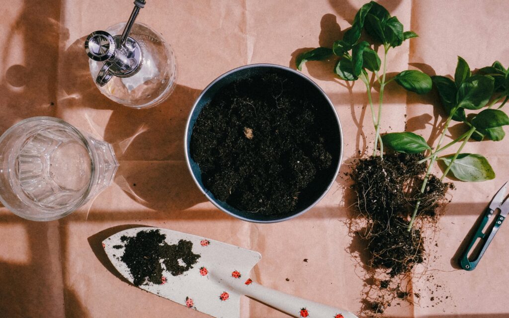 Close-up of dark soil in a terracotta pot with a metal gardening trowel