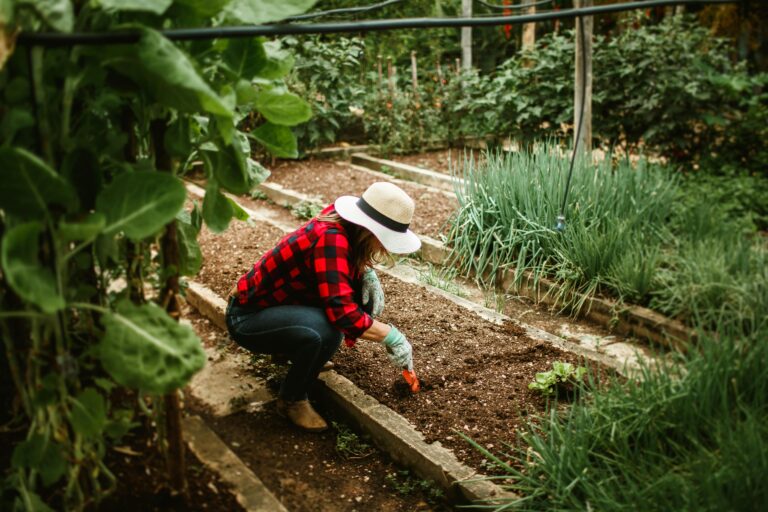 Woman kneeling in structured vegetable garden, wearing gloves and a sunhat, tending the soil — representing a practical, structured gardening approach.