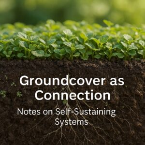 A cross-section of soil showing roots and soft light threads representing self-sustaining systems that connect structure, care, and renewal.