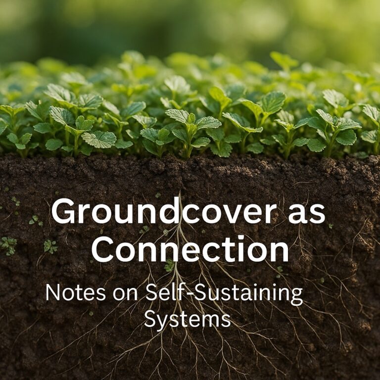 A cross-section of soil showing roots and soft light threads representing self-sustaining systems that connect structure, care, and renewal.